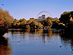 фото "The Pond"