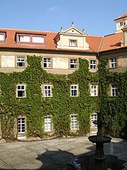 фото "garden"