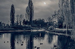 photo "***"