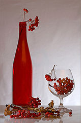 photo "Still-life in red tones"