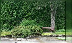 photo "Loneliness"
