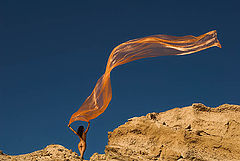 photo "to fly...."