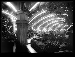 photo "Paris #1"