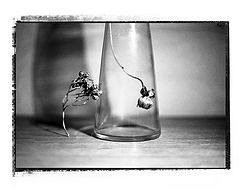photo "***"