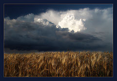 photo "***"