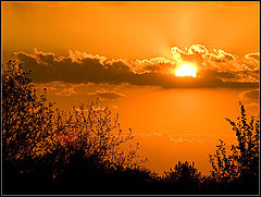 photo "May Sunset"