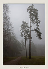 photo "***"