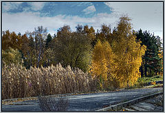 фото "Цвет осени"