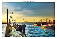 фото "boats"