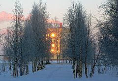 photo "The Freezing morning."