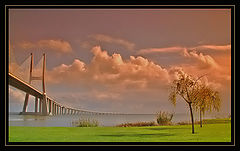 фото "Vasco da Gama bridge"