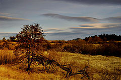 фото "The time..."
