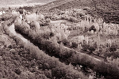 photo "Ebro river"