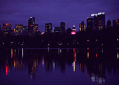 photo "New york"