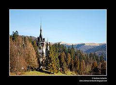 фото "Peles Castle"