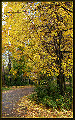 photo "Pleasant autumn"