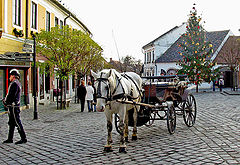 фото "Christmas time"
