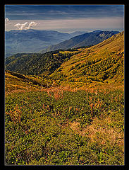 photo "разбежаться и взлететь"