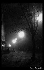 фото "Один в ночном тумане..."