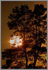 photo "***"