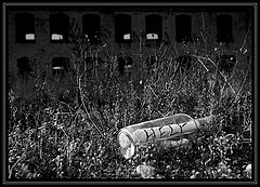 photo "SOS"