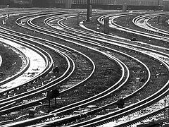 photo "curves"