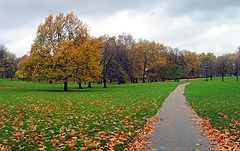 photo "autumn"