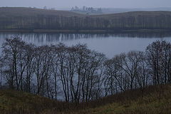 photo "***"