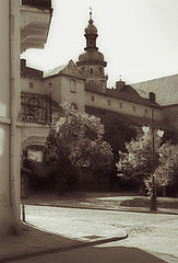 photo "to-warm-back"