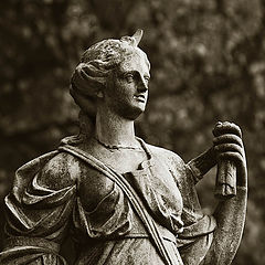 photo "Pending"
