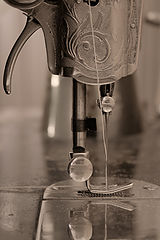 photo "Singer"