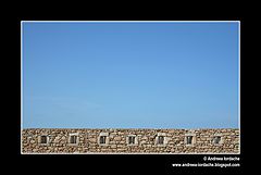 фото "freedom"