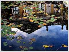 фото "palacio queluz reflexion"