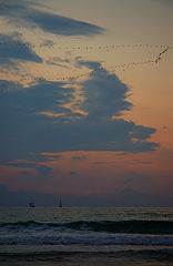 photo "***"