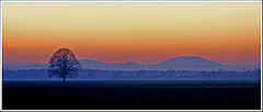 photo "Solace of me"