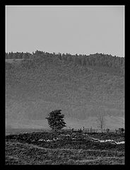 photo "***"