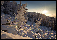 photo "Belaya Mt / 0165_0094"