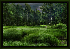photo "***"