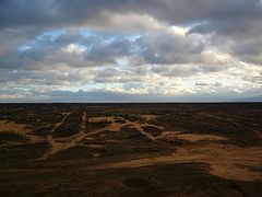 фото "tank firing range"
