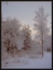 photo "Alexandrino park: The first snow"