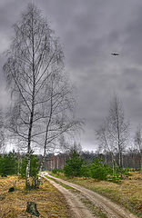 фото "Вот такая зима."