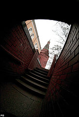 фото "виды"
