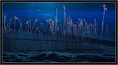 фото "BLUE MOMENT"