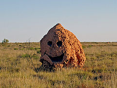 фото "Laughing Rock"