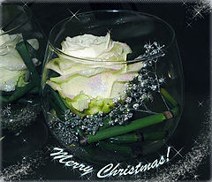 photo "Merry Chrismas!"