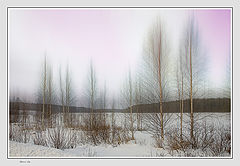 photo "***"