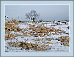 фото "Одиночество"