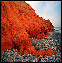 photo "Red Dracon"