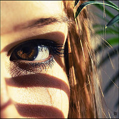 фото "nothing special"
