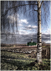 фото "Strange winter"